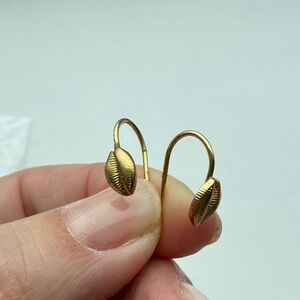 Gold shell Earrings